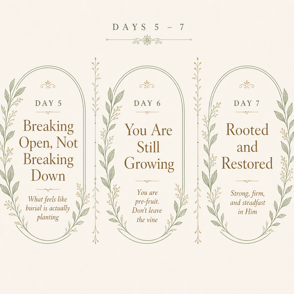 Built to Bend: A 7-Day Devotional Study For the woman who is tired but still trusting.